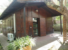 CHALET con spiaggia privata Bracciano